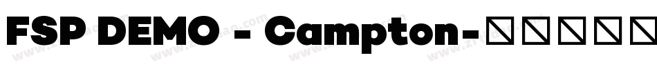 FSP DEMO - Campton字体转换